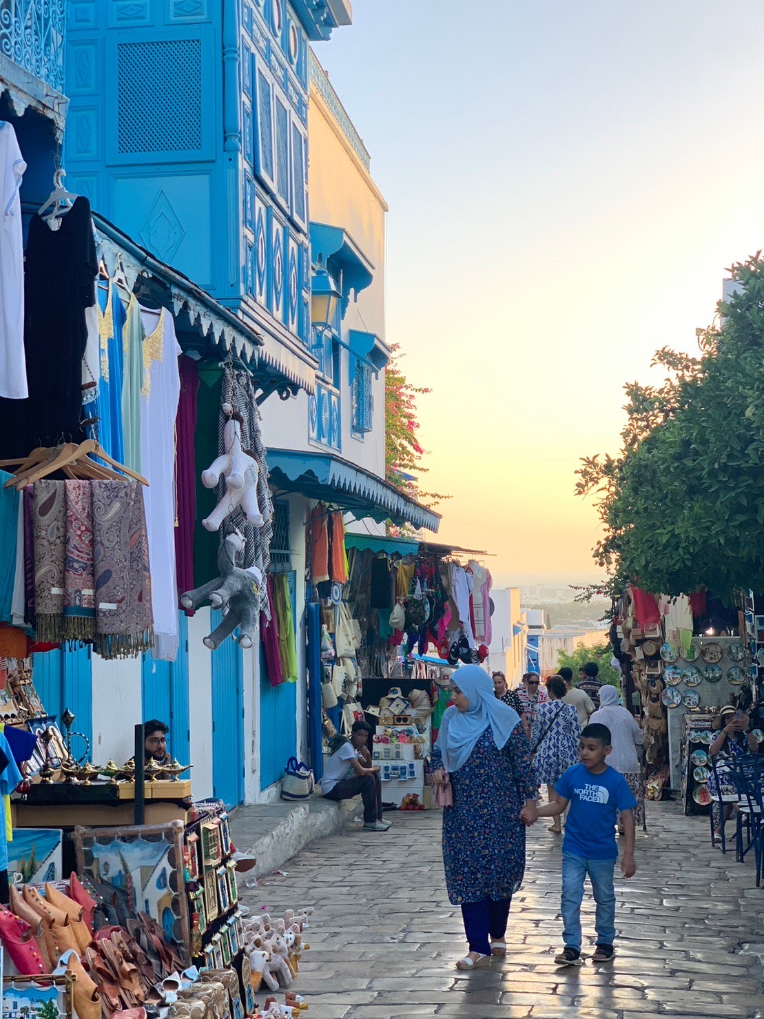 チュニジアってどんな国? AFRICA BUSINESS ADVISORS